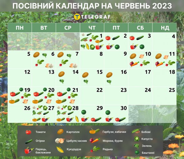 Посівний календар на червень