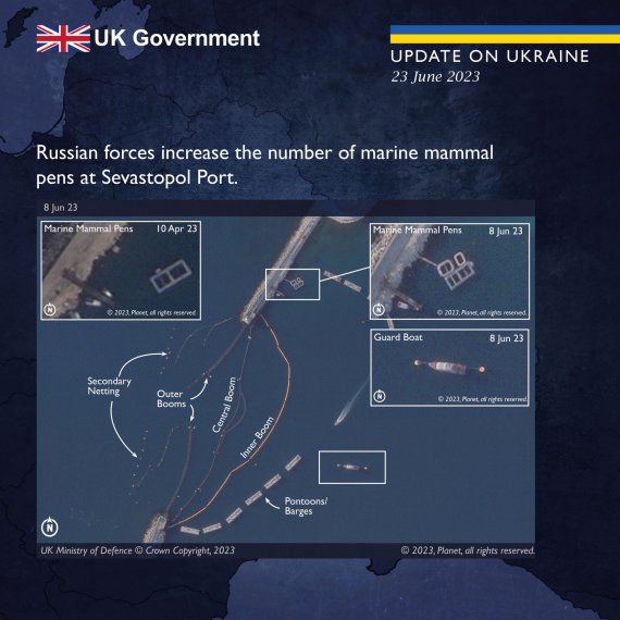 Росія використовує дельфінів для захисту бази ЧФ РФ у Севастополі