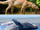 Нейросеть показала животных, проживавших 40 млн лет назад
