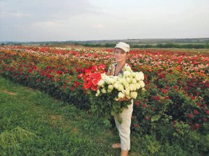 Надія ПАНАСЮК, 43 роки, підприємиця. Народилася 19 березня 1980-го в селищі Микільське поблизу Херсона. Батько працював зоотехніком на птахофабриці, мати – різноробкою в лікарні й на заводі. Закінчила Херсонський економіко-технологічний технікум. 22 роки вирощує та розводить троянди. ­Разом із чоловіком, 47-річним Олексієм, ­мають розплідник “Розавед”. Донька Ілона навчається в Польщі. Мають чотирьох котів. Смакує узбецька кухня, особливо плов і ­манти. З юності улюблена книжка “Звіяні вітром” Марґарет Мітчелл. Подобаються детективи. Живе в Микільському