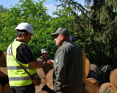 Агенты УЭБ осуществляют контроль отгрузки реализуемой древесины новому владельцу. Фото: Украинская энергетическая биржа