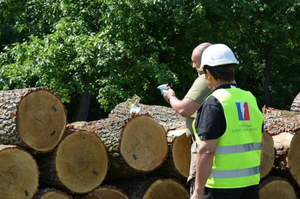 Агенти Агенти УЕБ здійснюють контроль відвантаження реалізованої деревини новому власнику. Фото: Українська енергетична біржа 