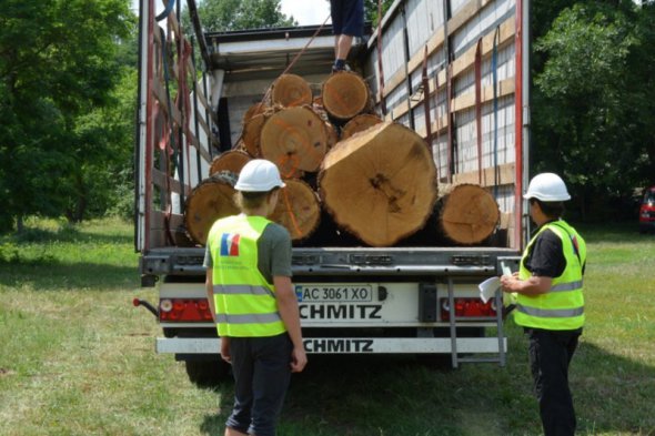 Агенти УЕБ здійснюють контроль відвантаження реалізованої деревини новому власнику. Фото: Українська енергетична біржа