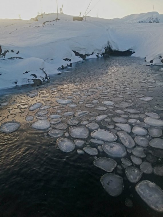 Млинцевий лід зустрічається не лише в Антарктиці, а й в інших морях та прісних водоймах, зокрема і в Україні, але набагато рідше