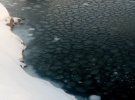 Млинцевий лід зустрічається не лише в Антарктиці, а й в інших морях та прісних водоймах, зокрема і в Україні, але набагато рідше