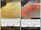 Джамала евакуювалась з Сицилії через масштабні пожежі