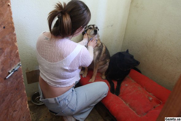 Взяти собаку на вигул можуть лише повнолітні відвідувачі (при собі треба мати документ, що посвідчує особу, чи додаток "Дія"