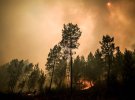 Пожежники у Португалії борються з лісовими пожежами
