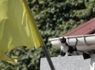 8 серпня День котів: військові показали фронтові будні з пухнастиками