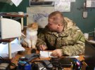 8 серпня День котів: військові показали фронтові будні з пухнастиками