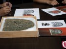 Студенты факультета истории, политологии и национальной безопасности Волынского национального университета имени Леси Украинки во время раскопок в исторической части Владимира нашли стилизованный герб города