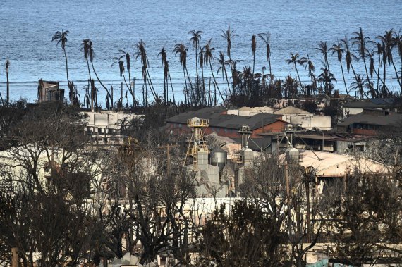 Число жертв лесных пожаров на острове Мауи возросло до 110