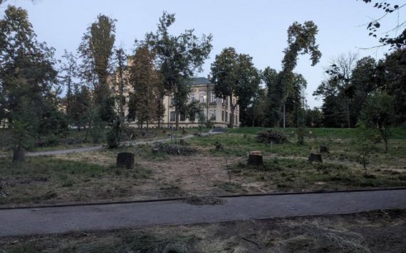 У парку КПІ зрубали частину дерев