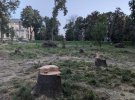У парку КПІ зрубали частину дерев