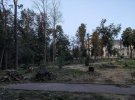 У парку КПІ зрубали частину дерев