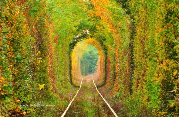 Тунель кохання на Рвненщині 