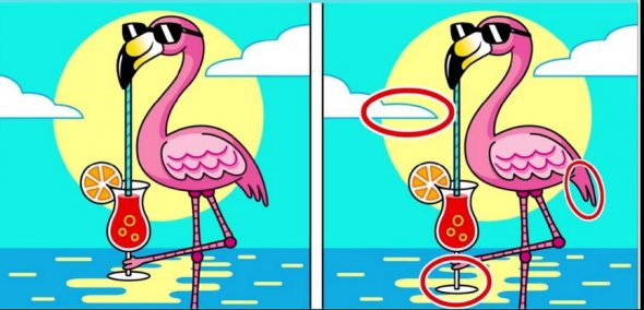 Головоломка с оптической иллюзией: найдите три отличия на картинке с розовым фламинго