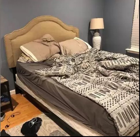 Головоломка с оптической иллюзией: найдите собаку в спальне за 15 секунд