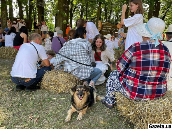 Люди з радістю обговорювали побачене на фестивалі у Моринцях