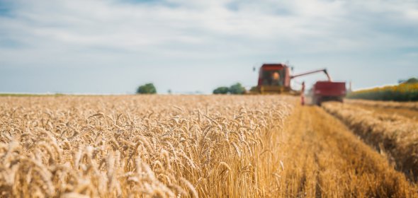 Сайт AGRO.RIA - это новый проект на отечественном рынке по продаже сельскохозяйственной техники