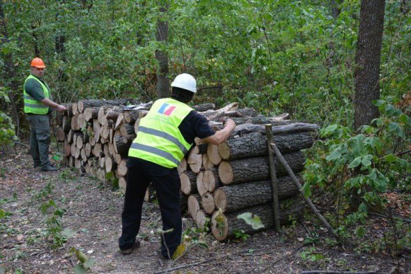 Фото: Українська енергетична біржа