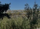 Полігон відкрили у 1986 році. Сюди звозять сміття близько 10% жителів країни