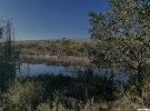 Сміття через велику кількість органічних решток утворює небезпечний фільтрат
