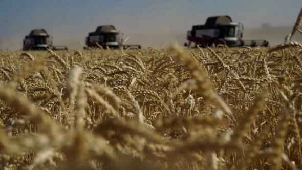 Фермеры собирают пшеницу в Ростовской области России, недалеко от границы с Украиной. Между Украиной и Польшей разгорелся спор по поводу экспорта зерна, в результате чего Варшава пригрозила прекратить военную поддержку 