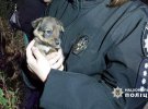 Поліція показала наслідки влучання на Одещині