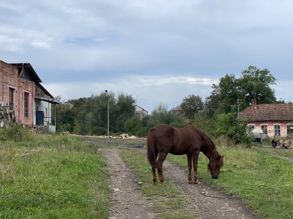 Дрогобычский герб во все времена символизировал достаток и богатство горожан. Состоит из девяти топок дрогобычской соли