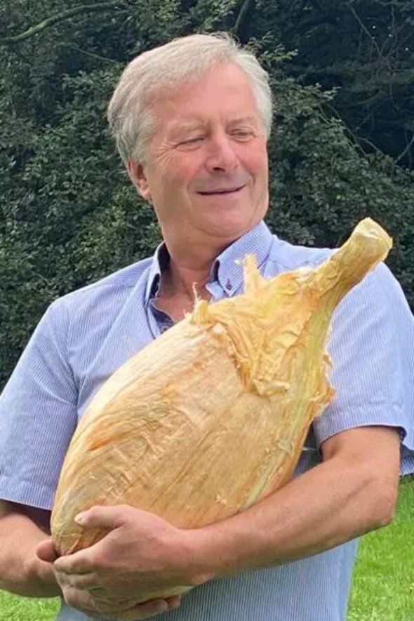 Самый большой лук в мире: британец попал в книгу рекордов Гиннеса с овощом-гигантом