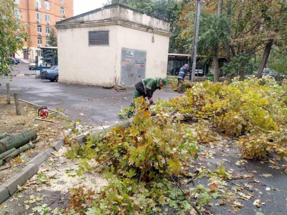 В Одесі 16 жовтня через сильний вітер падають дерева