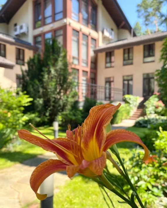 Софія Ротару під час війни не виїжджала з України