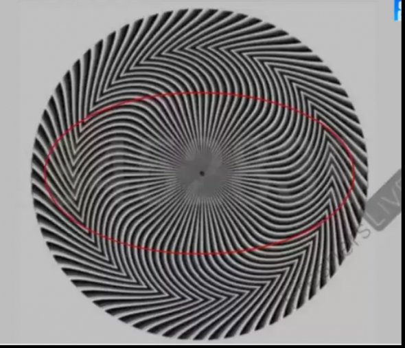 Головоломки з оптичною ілюзією: спробуйте визначити правильне приховане число
