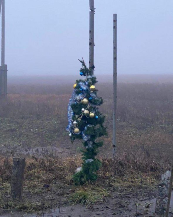 Ялинка прикрашена святковими прикрасами
