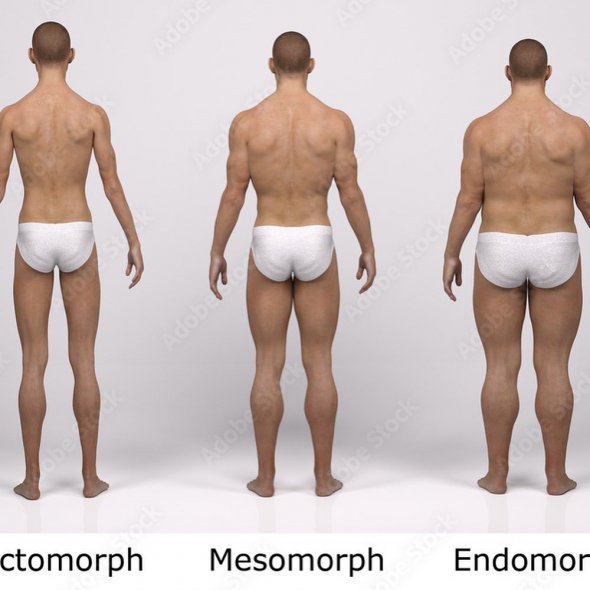 Слева - астеник, по середине - нормостеник, справа - гиперстеник
