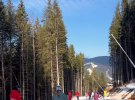 Тіна Кароль показала, як проводить відпустку в Карпатах