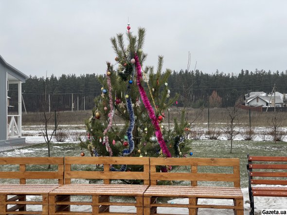 Жителі містечка прикрасили новорічну ялинку