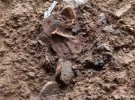 В Китае исследовали древнее захоронение