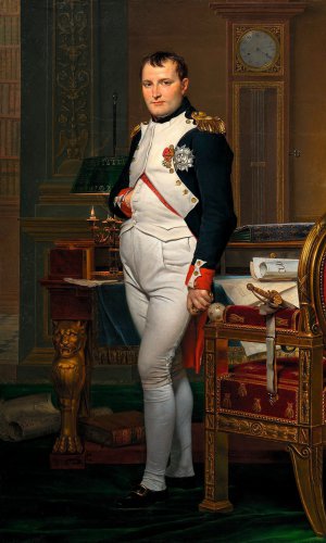 Портрет Наполеона Бонапарта 1812 року намалював його придворний художник, представник неокласицизму й ампіру Жак-Луї Давід. Картину французького живописця ”Імператор Наполеон у своєму кабінеті в Тюїльрі” зберігають у Національній галереї мистецтва у Вашингтоні, Сполучені Штати Америки