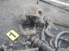 Біля Києва знайшли древнє поховання