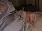Mamasita оголосила про вагітність
