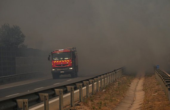 У Чилі не вщухають лісові пожежі