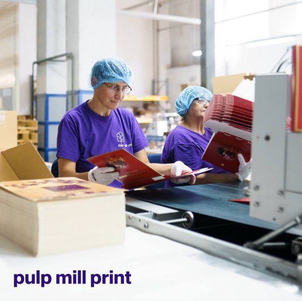 Pulp Mill Print оформив для кожного зі співробітників медичне страхування, забезпечив постійне навчання та підвищення кваліфікації