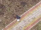Селище Тьоткіно Курської області повністю під контролем російських визвольних сил