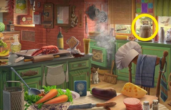 Головоломка: лише найуважніші можуть помітити захованого на кухні єнота за сім секунд