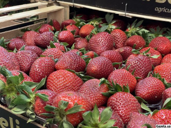 Ринок розташований на Окружній дорозі, вул. Велика Кільцева, 110-А