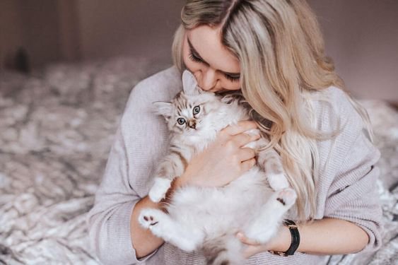 Є 20 хороших ідей, як допомогти кішкам стати щасливішими