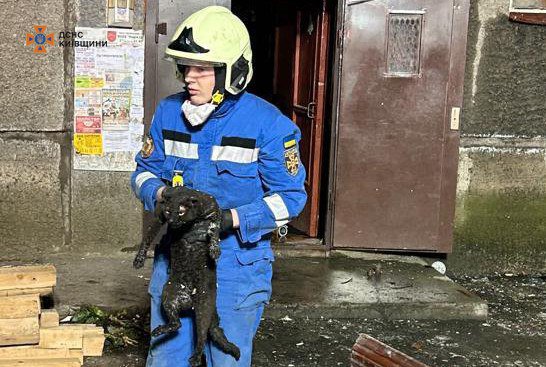 В Белой Церкви погибли два человека