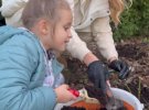 Лілія Ребрик з дітьми займається садівництвом